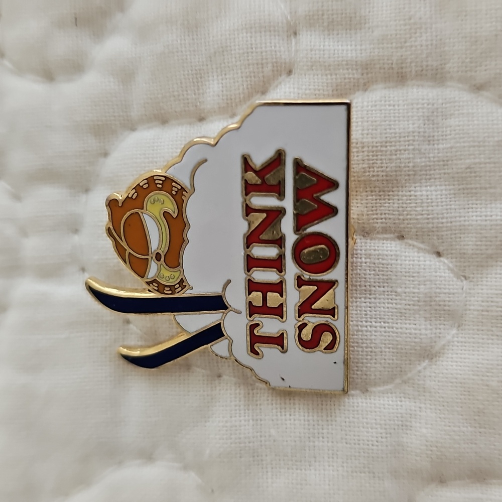 Vintage USA Souvenir Ski Pins - Picture 3 of 10